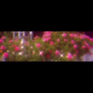 Meet your Posher, Destiny